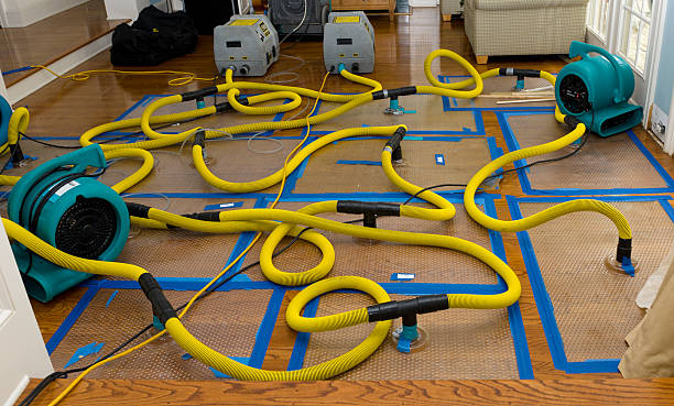 Professional Crawl Space Water Removal technician working in Millington, NJ